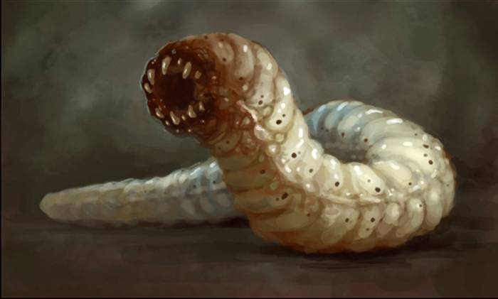 realunexplainedmysteries.com