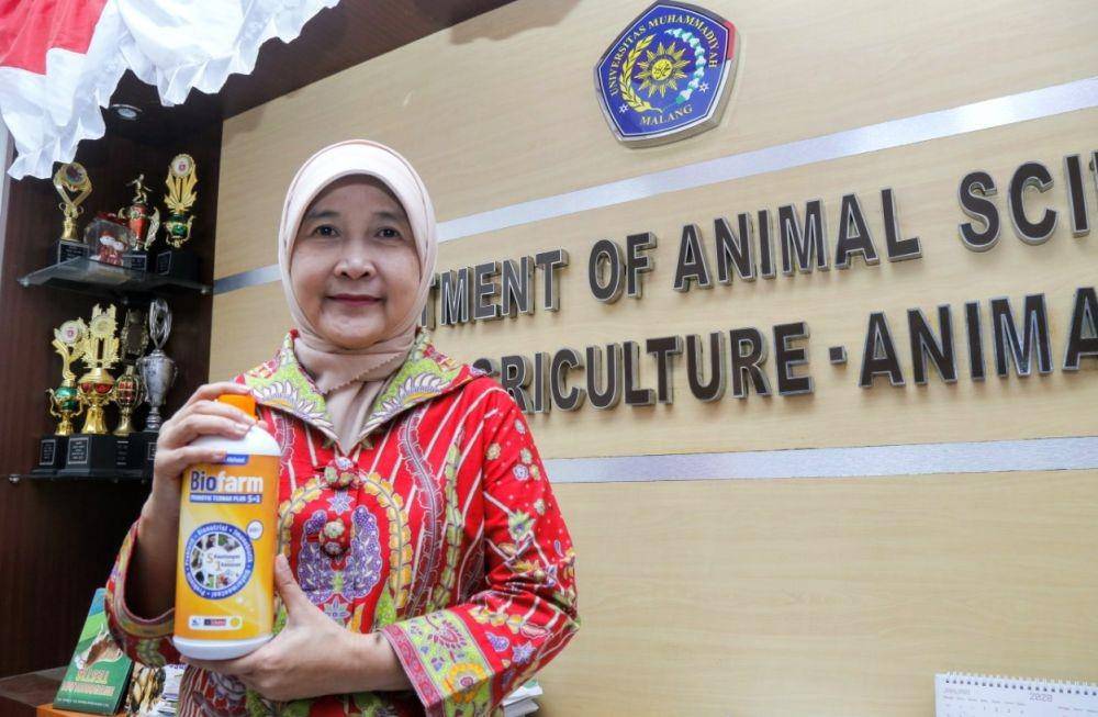 Produk Biofarm bisa meningkatkan kesehatan ternak. Humas UMM