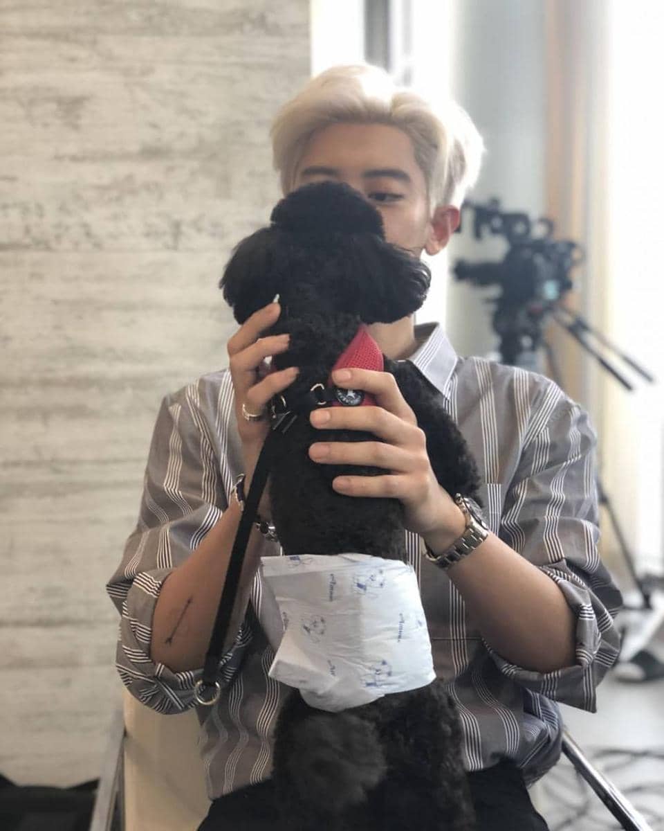 instagram.com/real__pcy