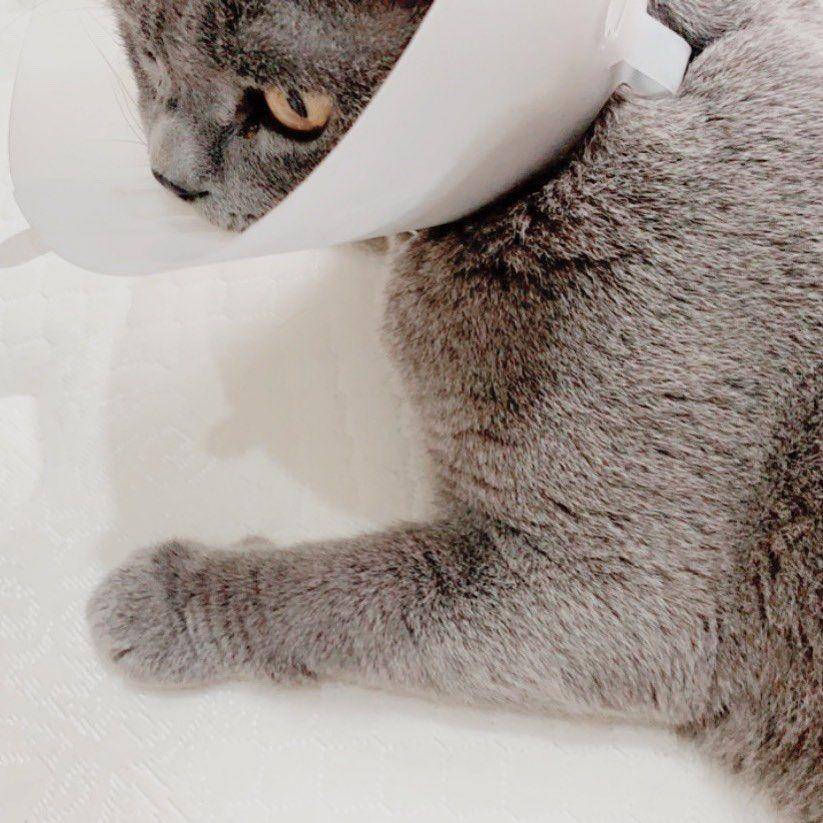 Instagram.com/ayudiac