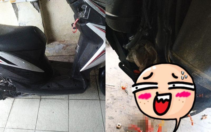 Motornya Mogok, Netizen Ini Temukan Penyebabnya Tak Terduga