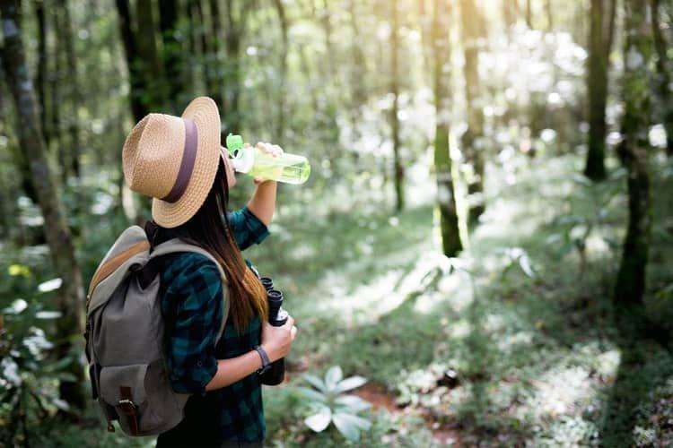Pahami 7 Cara Menemukan Air kalau Kamu Tersesat di Hutan