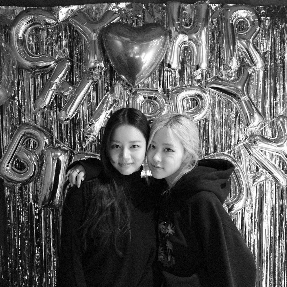 Instagram.com/roses_are_rosie/