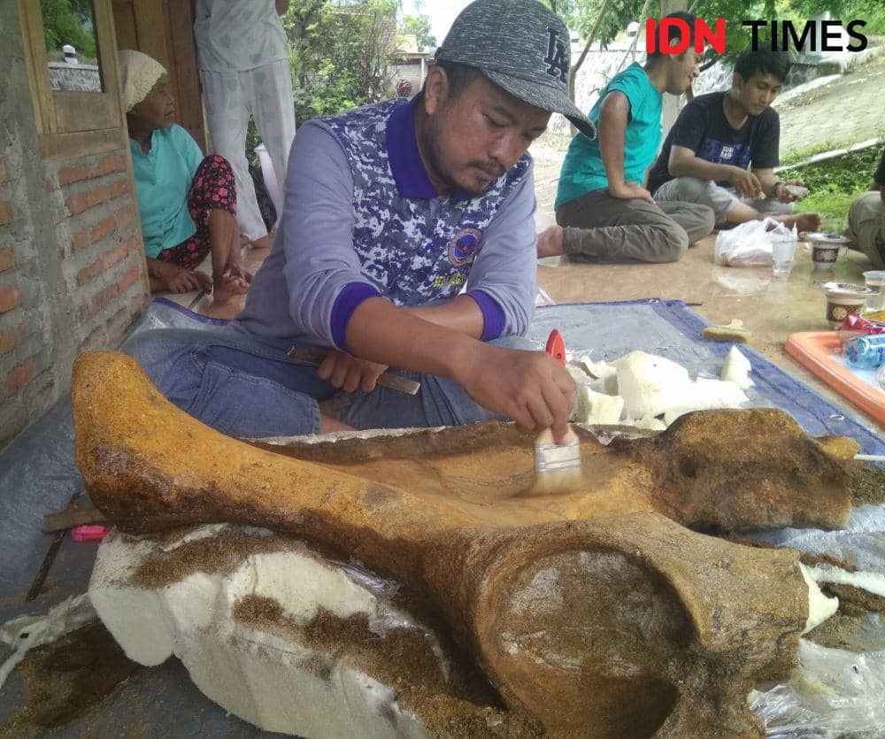 Tim dari Balai Pelestarian Situs Manusia Purba Sangiran sedang membersihkan fosil pinggul gajah betina di Desa Sumberbendo, Kecamatan Saradan, Kabupaten Madiun, Rabu (19/2). IDN Times/Nofika Dian Nugroho