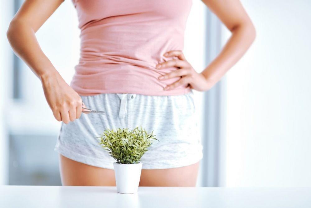 6 Mitos Bulu Kemaluan Perempuan yang Sering Dipercaya
