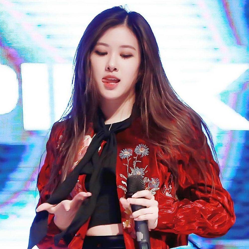 Instagram.com/roseblackpinks