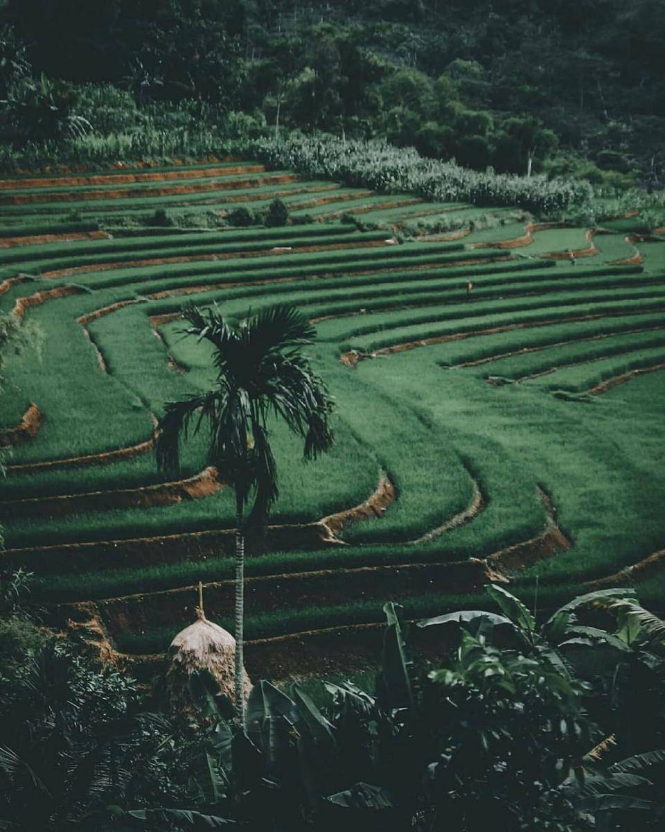 instagram.com/exploreponorogo
