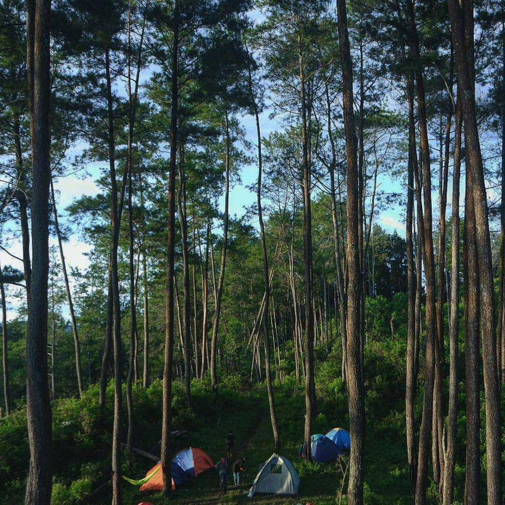 instagram.com/exploreponorogo