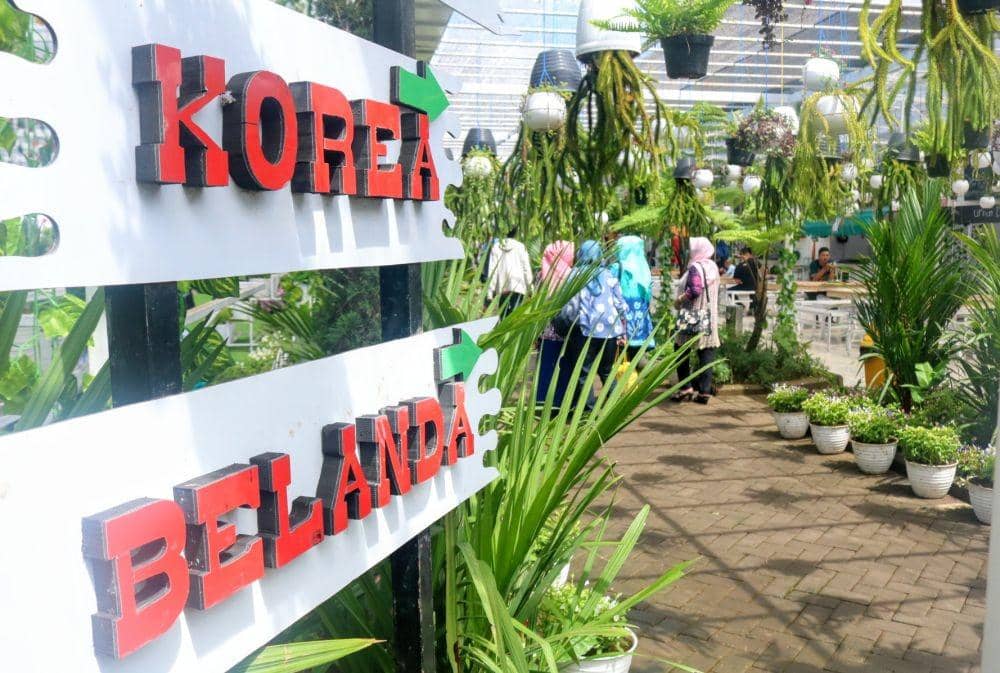 Flora Wisata Santera di Pujon Kabupaten Malang. IDN Times/ Alfi Ramadana