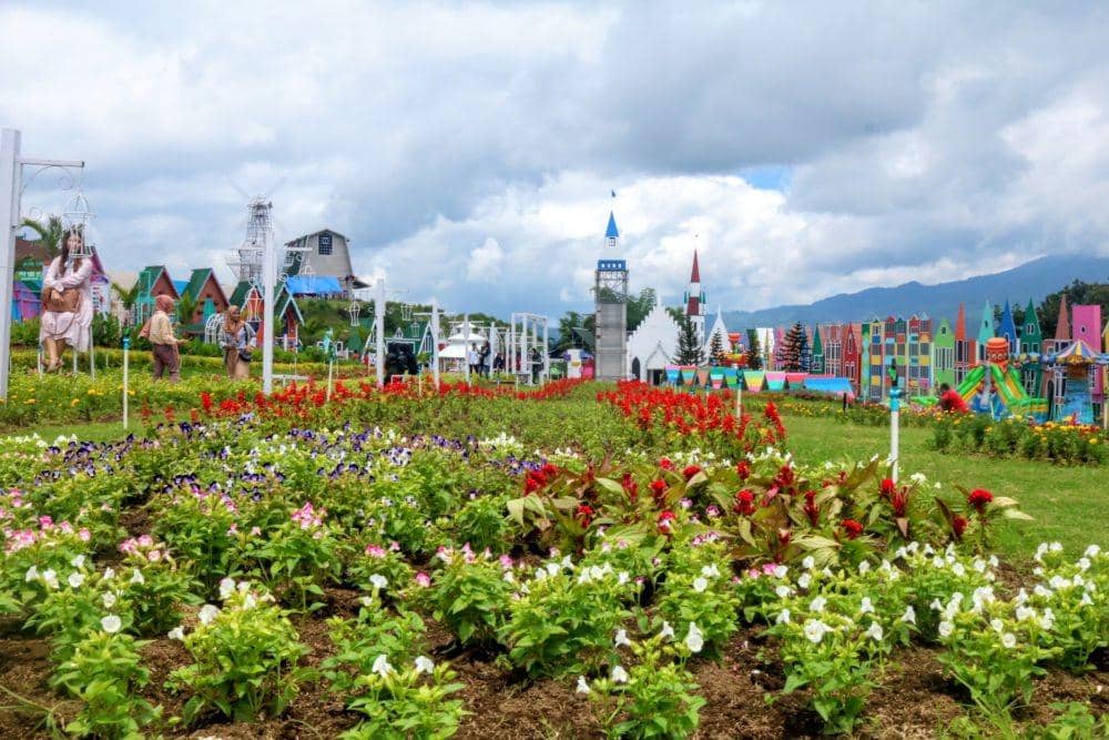 Berbeagai bunga menjadi daya tarik tersendiri bagi pengunjung. IDN Times/ Alfi Ramadana