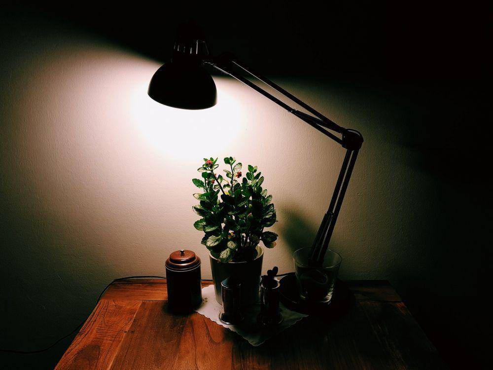 pexels.com/Daniel Frese