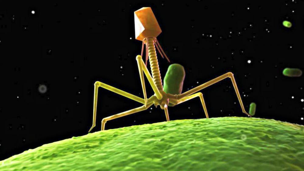 Virus Corona: Apa Itu Virus? Ini Asal Muasal dan Cara Terbentuknya