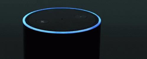 8 Kelebihan Amazon Echo dibandingkan Google Home