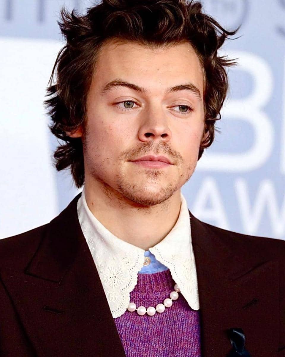 instagram.com/theharrystylesclan