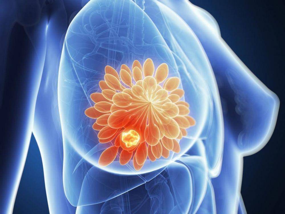 medicalnewstoday.com