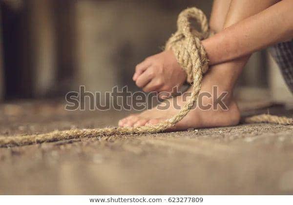 Shutterstock
