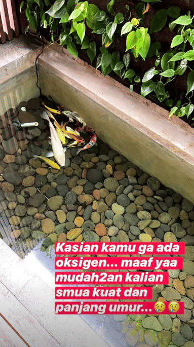 instagram.com/missnyctagina