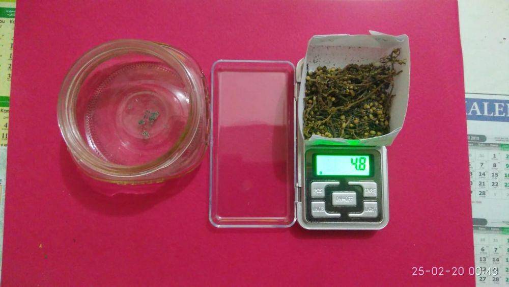 Barang bukti ganja dan toples kaca yang digunakan GL (IDN Times/Humas Polres Sabang)