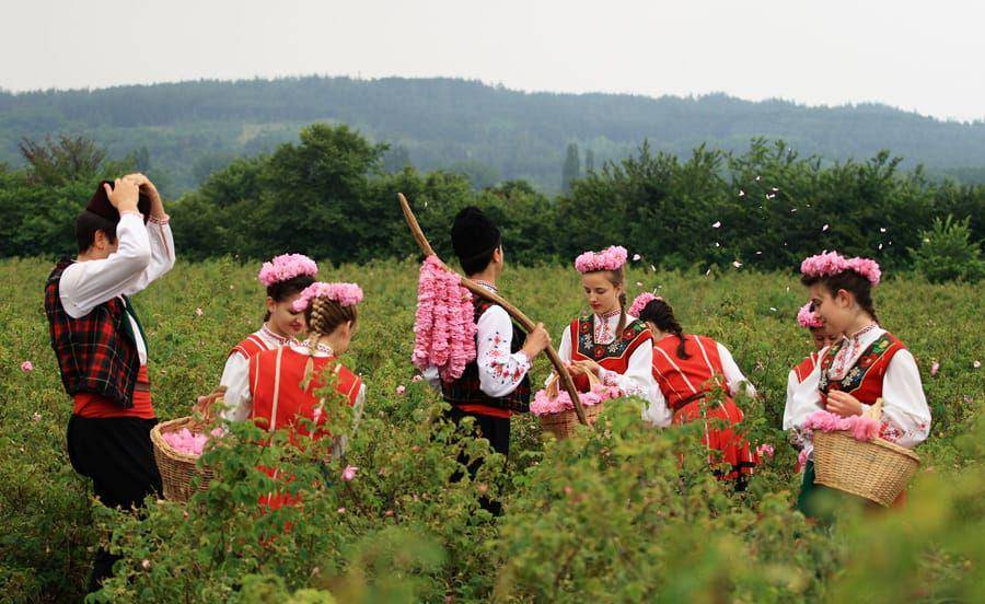 bhfieldschool.org