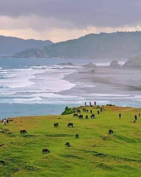 instagram.com/dinlombok626