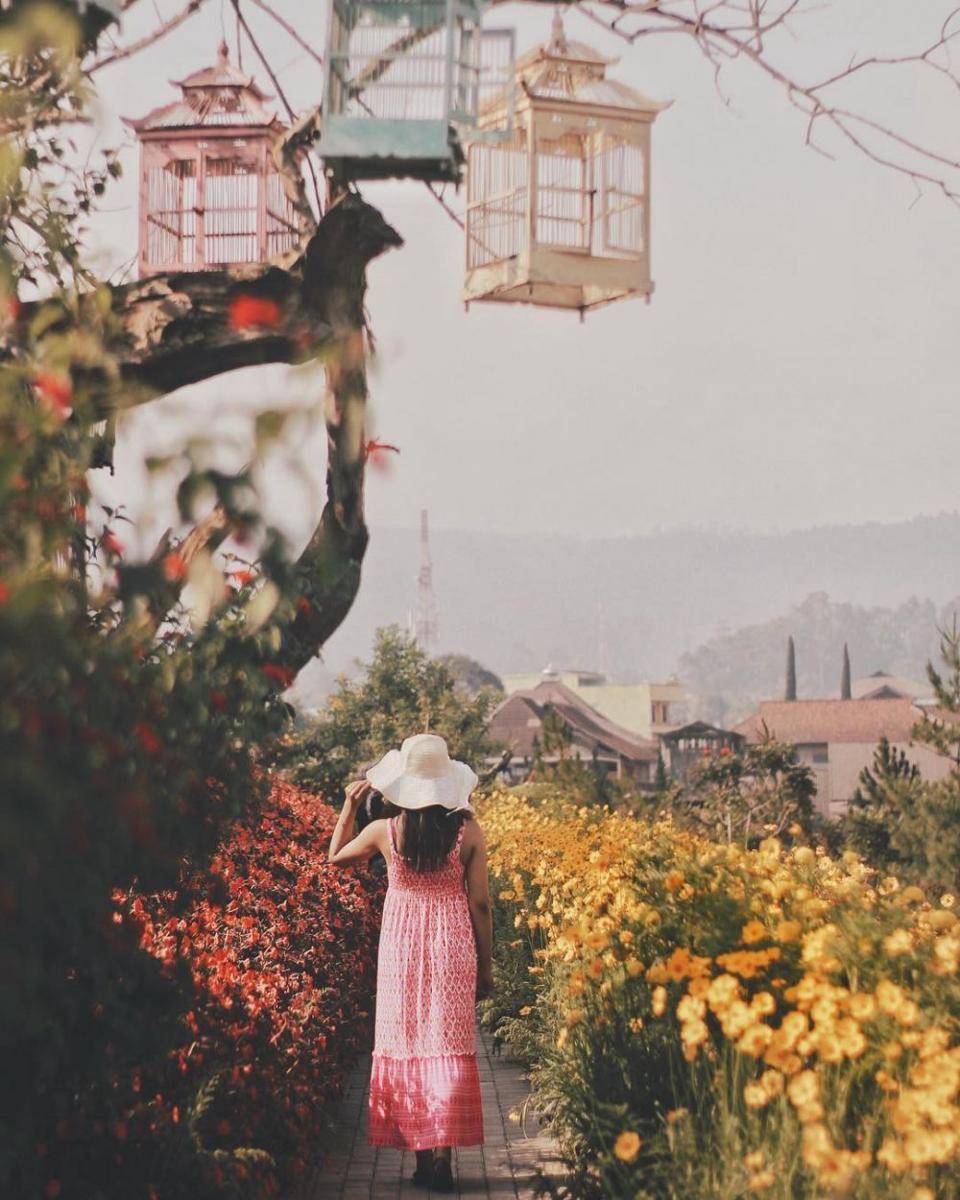 Instagram.com/Francesology
