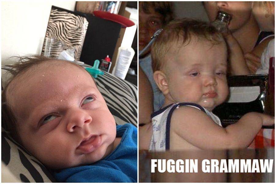 Imgur.com & Knowyourmeme.com