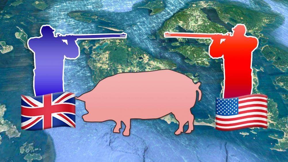 ilustrasi perang babi (youtube.com/Shorts and Facts)