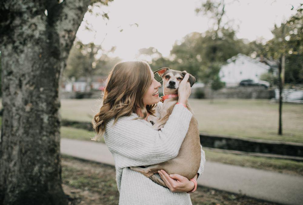 5 Fakta Terapi Anjing, Bisa Bikin Stres Anjing Lho!