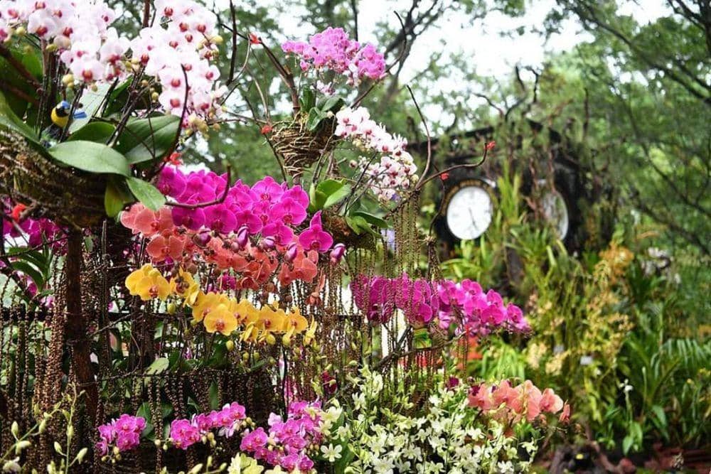 instagram.com/sggardenfest