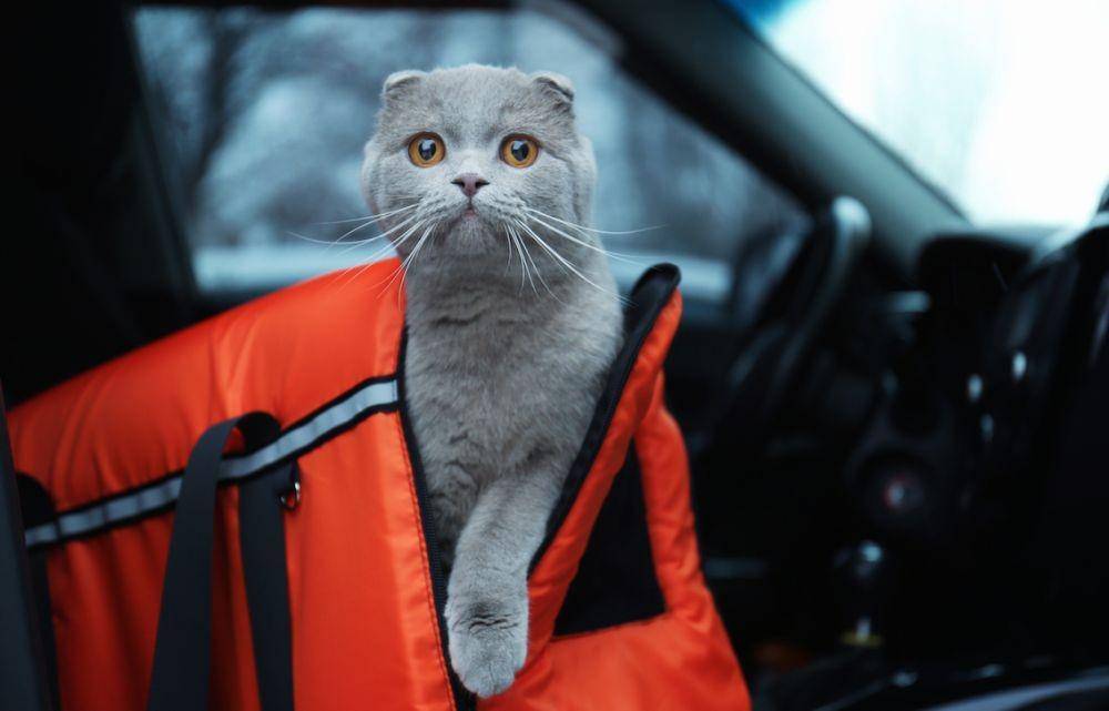 sixt.com