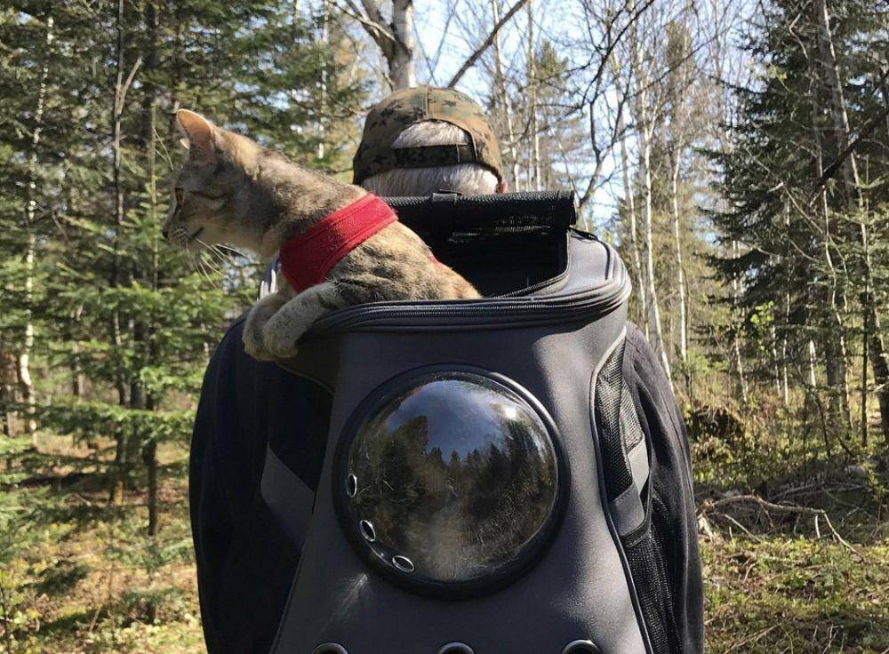 yourcatbackpack.com