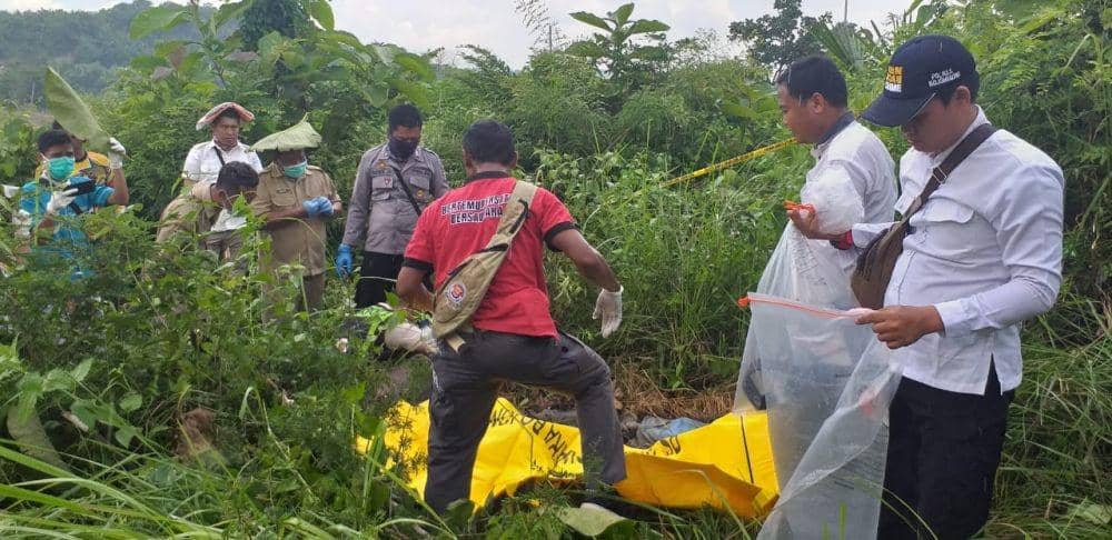 Kerangka Manusia Ditemukan Pencari Rumput di Hutan Bojonegoro