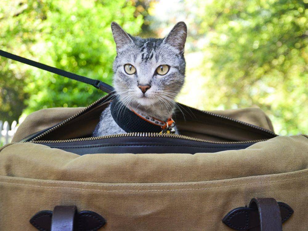 cntraveler.com