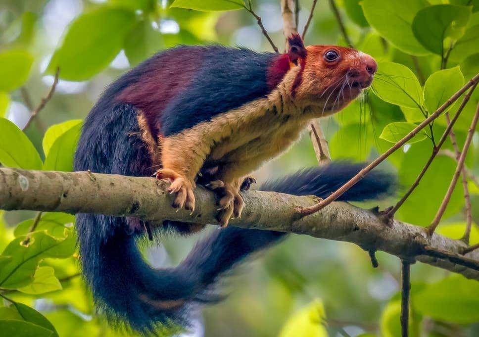 Moskva viloyati Pushkino shahridagi fohishalar