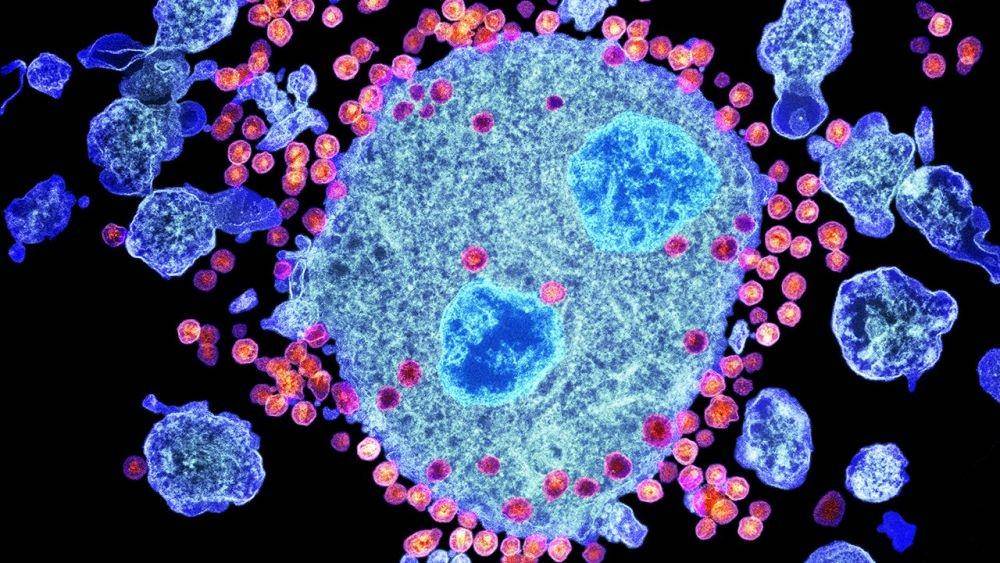 sciencemag.org