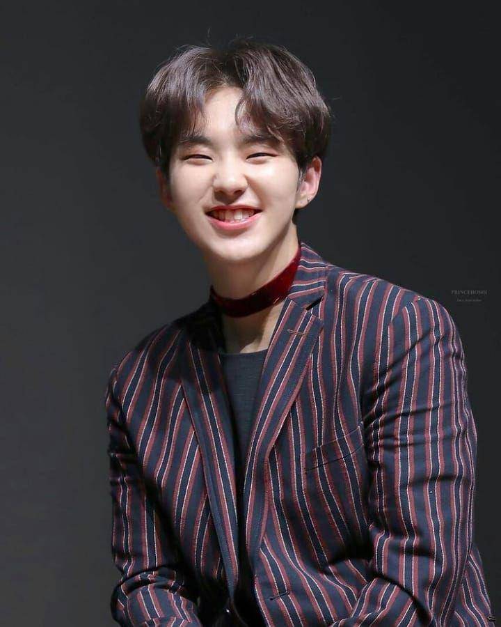 instagram.com/hoshi.saranghae