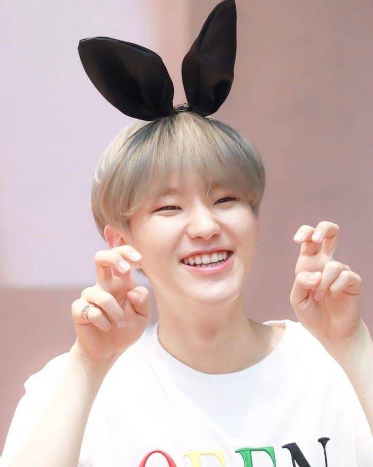 instagram.com/hoshi.saranghae