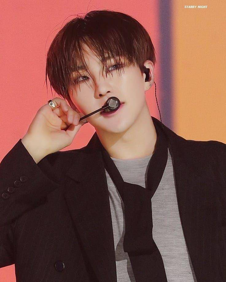 instagram.com/hoshi.saranghae