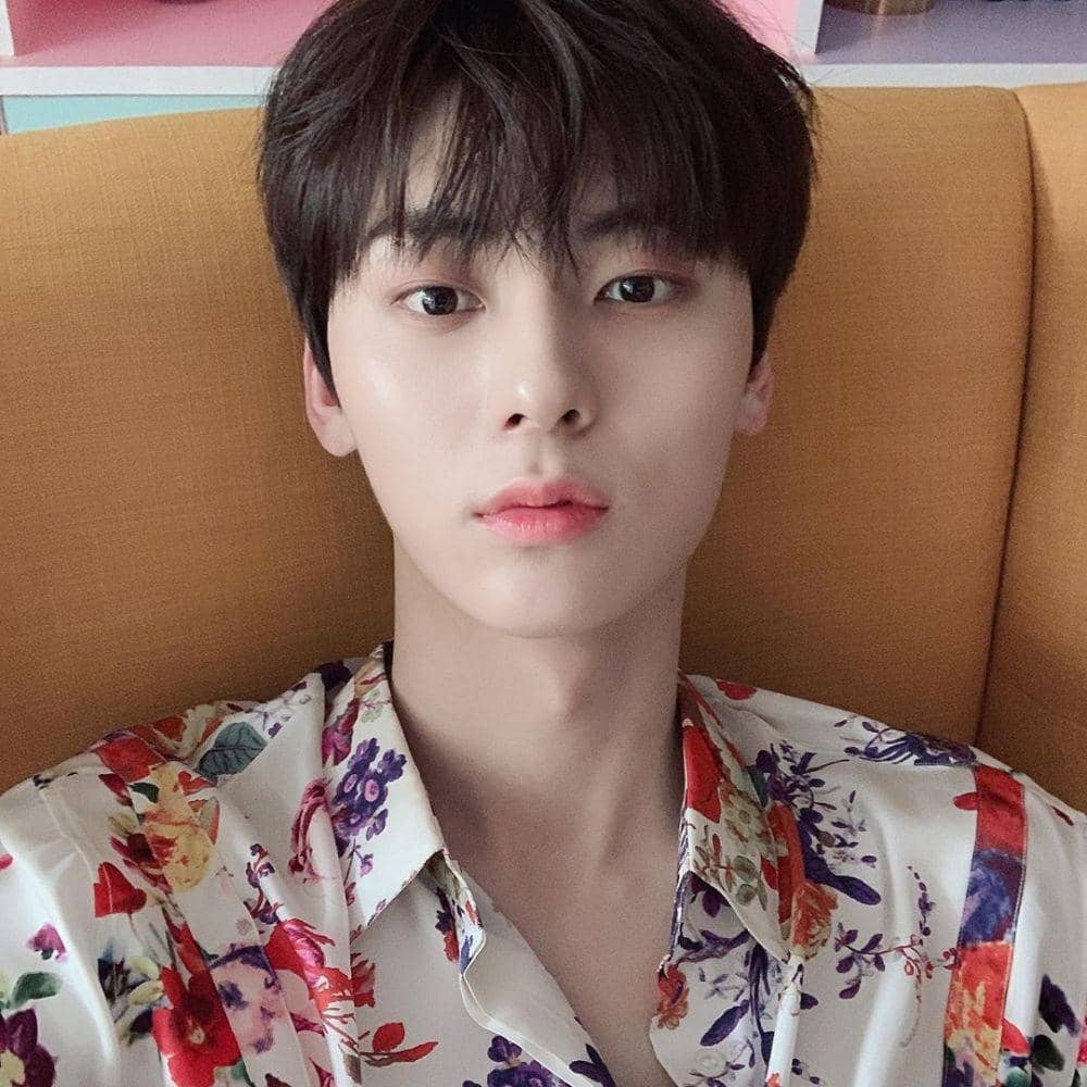 instagram.com/optimushwang