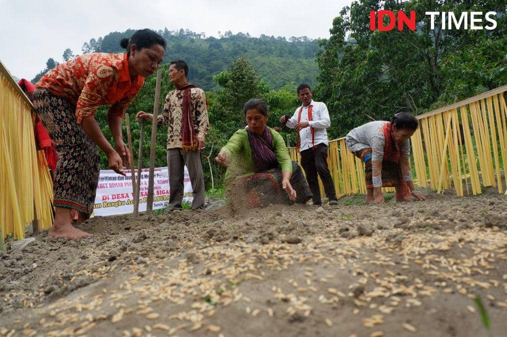 Masyarakat Desa Sigapiton menggelar adat Manabur Bonih, Senin (2/3) (IDN Times/Prayugo Utomo)