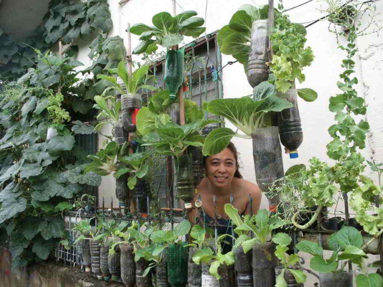 10 Ide Vertikultur Sayuran dari Barang Bekas, Bisa Kamu Buat di Rumah