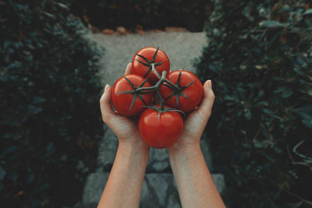 unsplash.com/Clay Banks