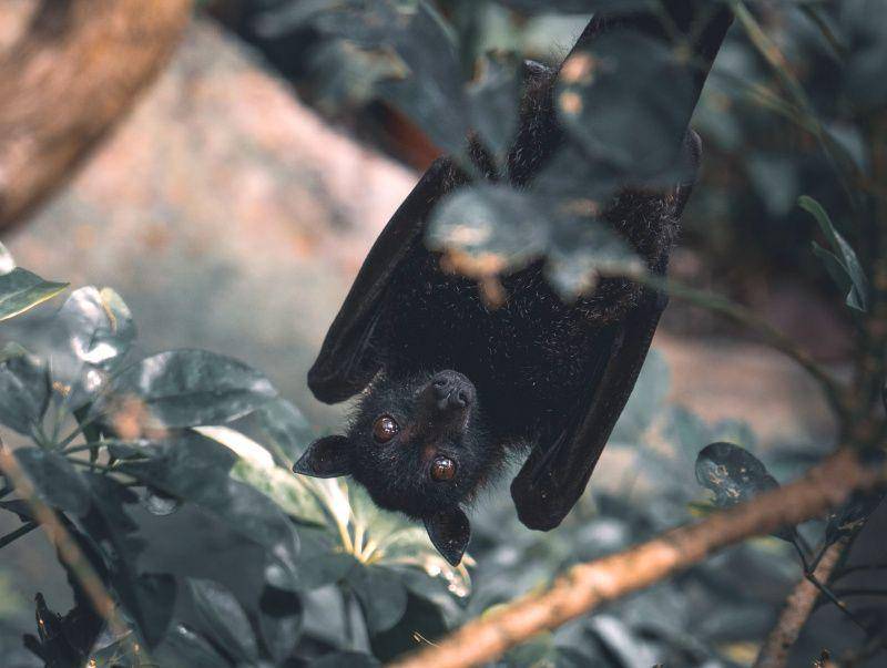 unsplash.com/José Ignacio García Zajaczkowski