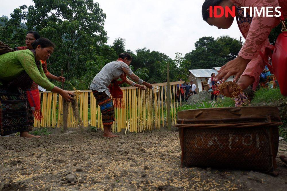 Manabur Bonih, Adat Masyarakat Toba yang Kini Mulai Lestari Lagi