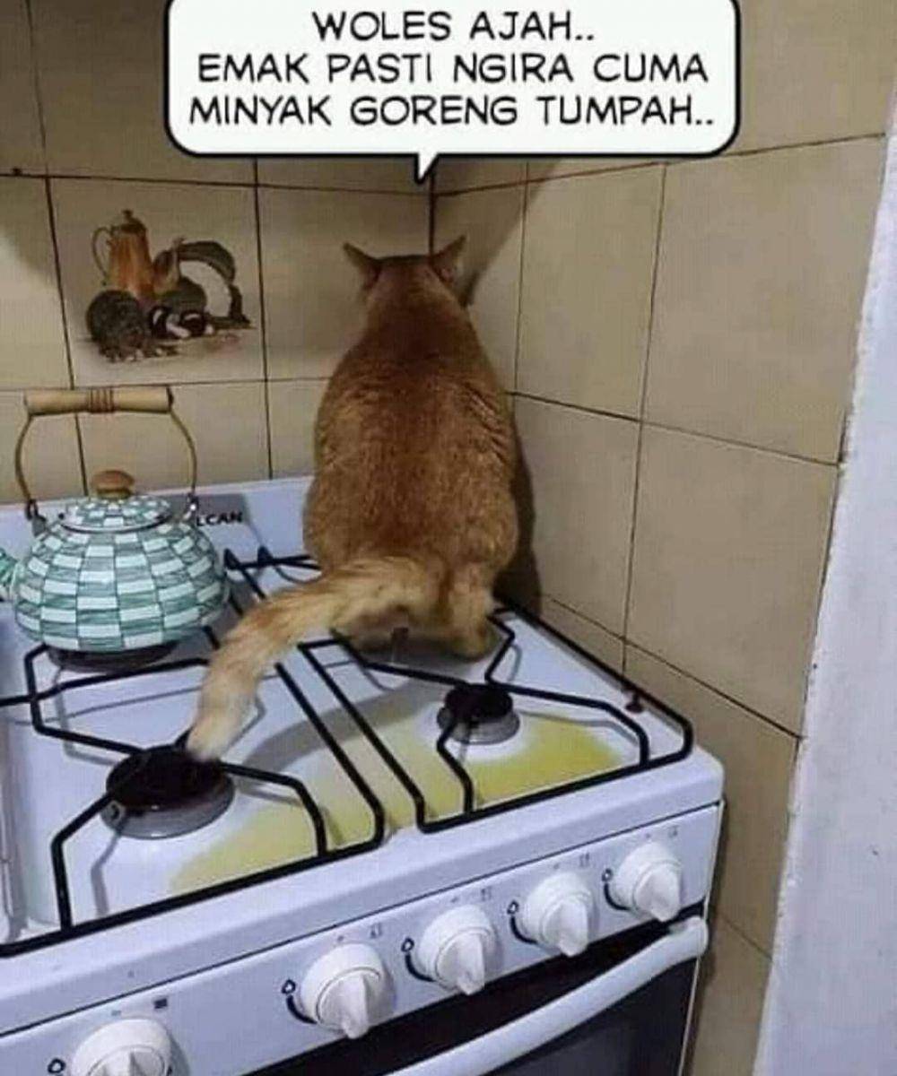 Instagram.com/sejay_mantap