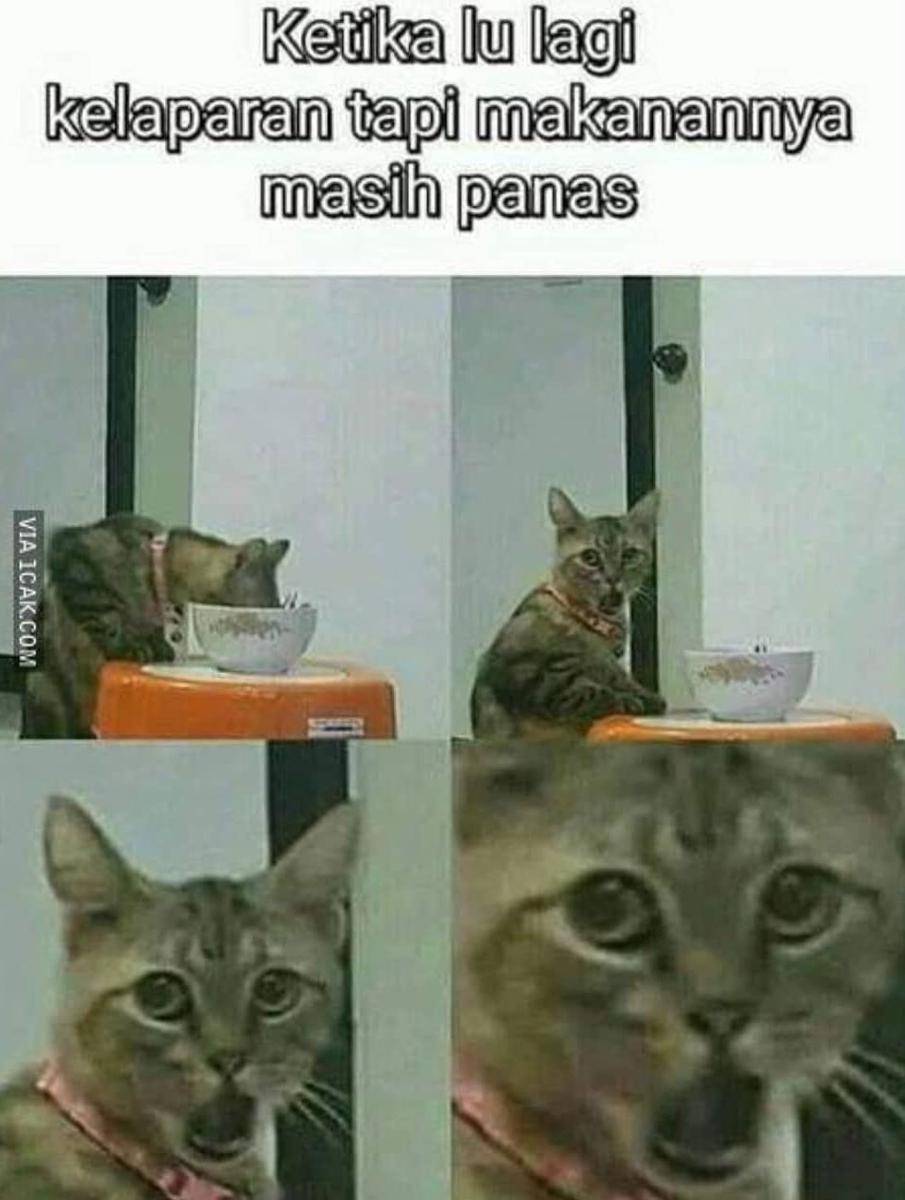 1cak.com