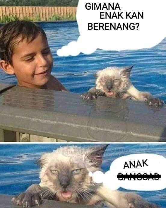 Instagram.com/sejay_mantap