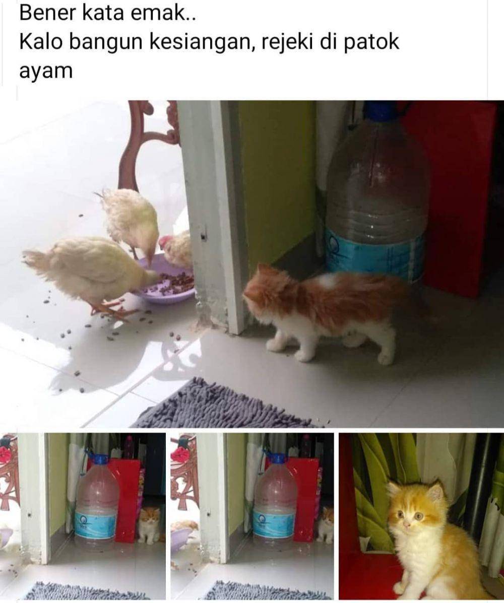 Instagram.com/sejay_mantap