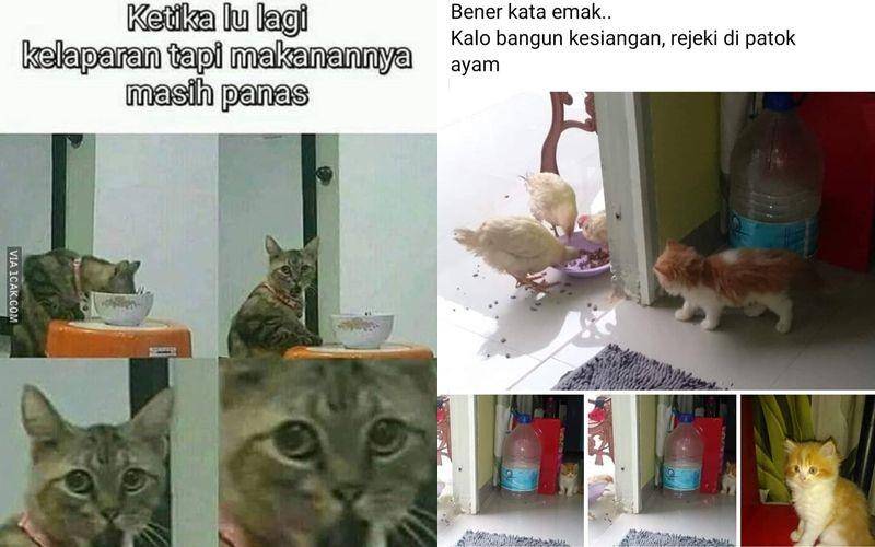 Berbagai sumber