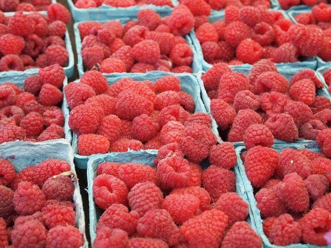 unsplash/Lance Grandahl